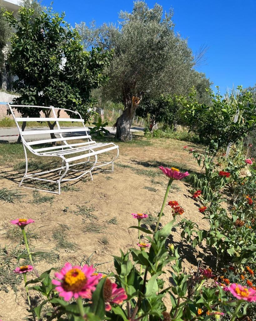 Qerana'S Rooms: Corner Of Nature Golem  Bagian luar foto